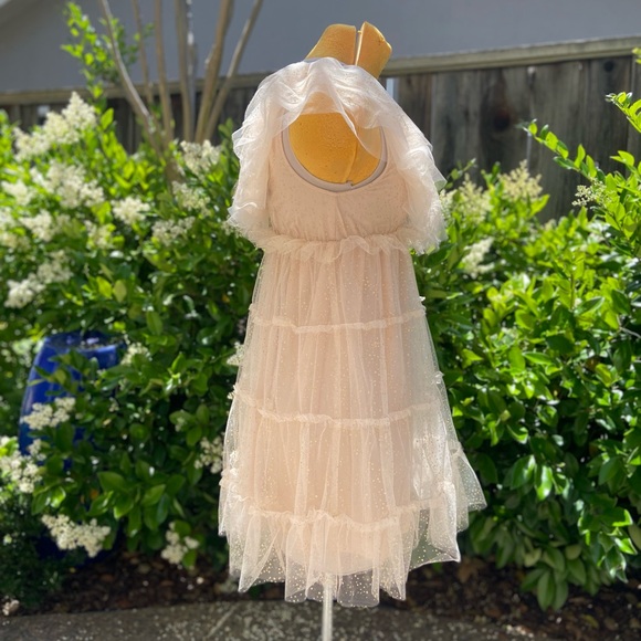 Show Me Your MuMu Miranda Dress Sparkle Dust Tulle - Picture 8 of 12
